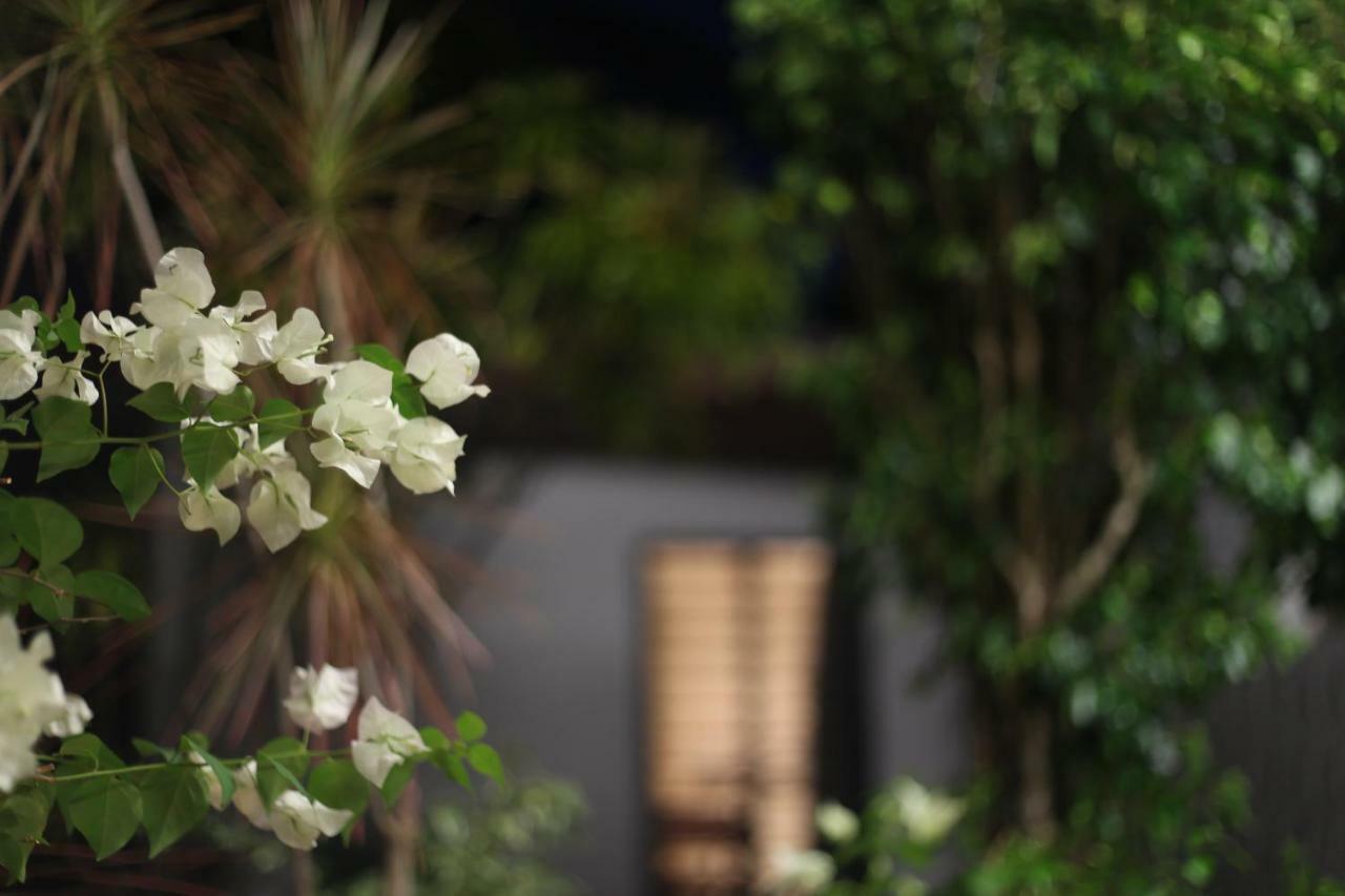 Darwin City B&B Exteriér fotografie